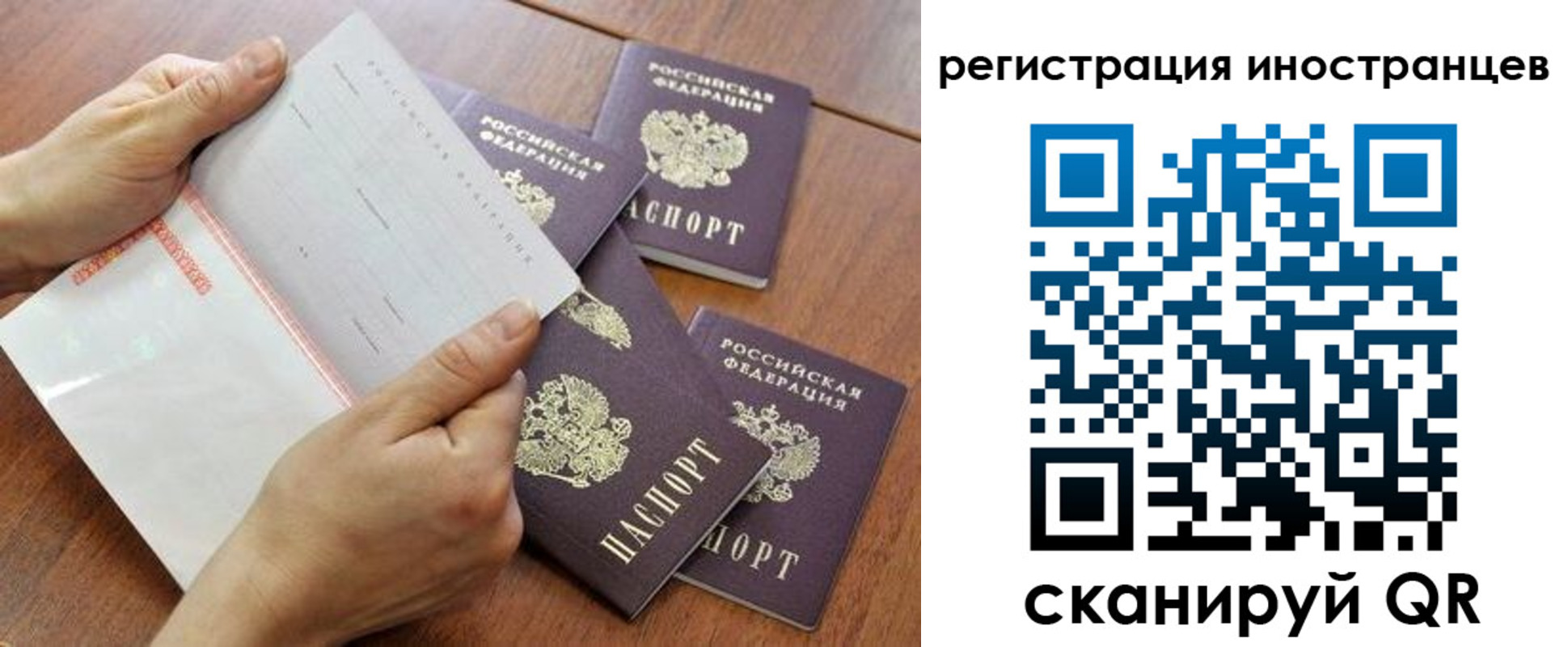 прописка поиск в Сатке